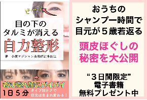 11月下まぶたのタルミ解消自力整形広告&LP.004.jpeg