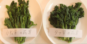 スクリーンショット 2019-06-19 20.38.39.png