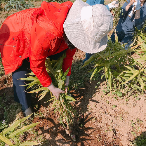 252749469_1094094124732679_5603703599066384859_n (1).jpg