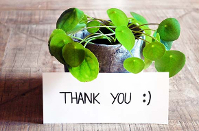 thank-you-3690116_1920.jpg