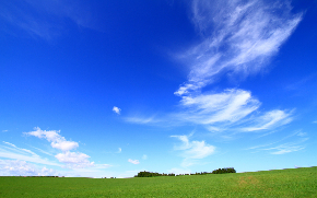 07412C63-9EC8-4ACE-ACDD-E9A0EB2AA0B0_1_105_c.jpeg