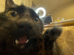 FE02810C-F6A6-4737-A5D0-806048017198_1_105_c.jpeg