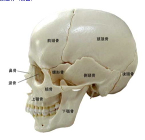 スクリーンショット 2020-09-07 10.57.20.png