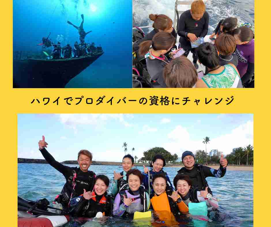 ハワイの海底に 沈む沈没船へ ダイビング (2).png