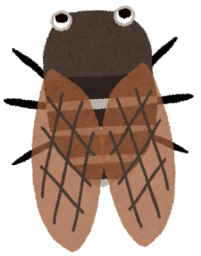 mushi_aburazemi.png