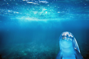 sea-4002951_1280.jpg