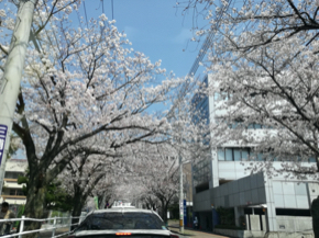 IMG_20200404_122358.jpg