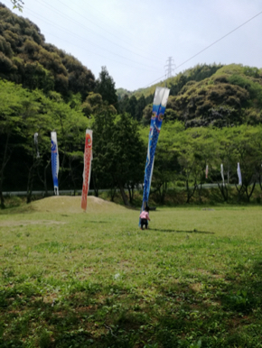 IMG_20200502_121746.jpg
