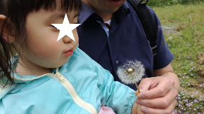 IMG_20190428_141049.jpg