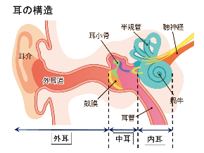 ear_img00.png