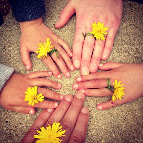 family-hand-1636615_960_720.jpg