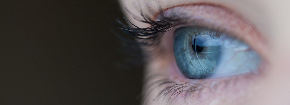 eye-691269__340.jpg