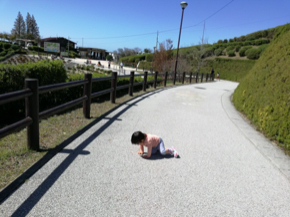 IMG_20200927_113940.jpg