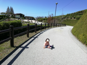 IMG_20200927_113944.jpg