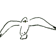 kamomemae-350x350.png