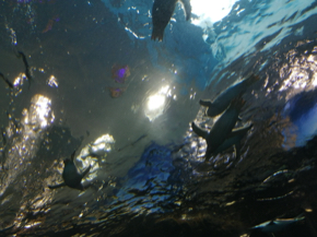 IMG_20201228_114234.jpg