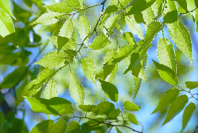 spring-1338807_960_720.jpg