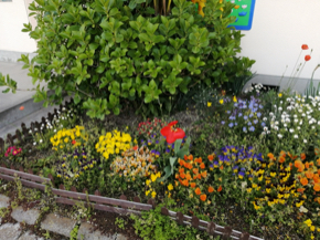 IMG_20210415_073940.jpg