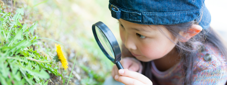 AdobeStock_331450376.jpeg