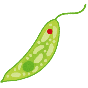 plant_midorimushi.png