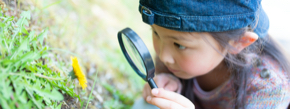 AdobeStock_331450376.jpeg