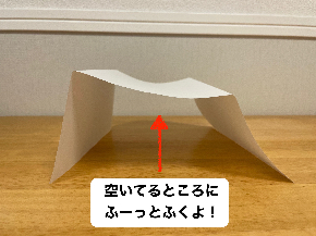 IMG_5237のコピー.jpeg