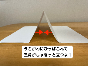 IMG_5251.jpeg