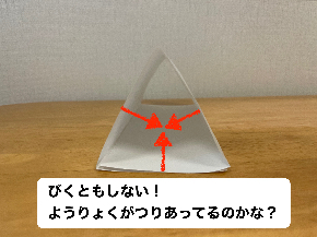 IMG_5247.jpeg