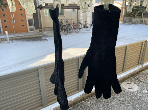 IMG_5479.jpeg