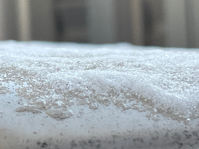 IMG_5494.jpeg