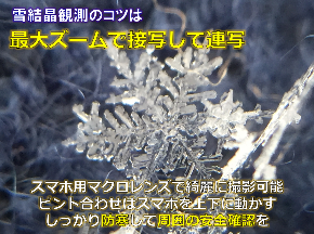fig_snowcrystals_macro.png