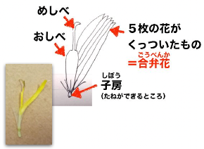 スクリーンショット 2022-03-29 23.11.16.png