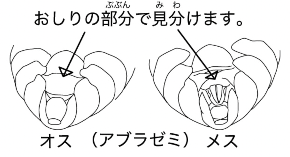 スクリーンショット 2022-07-23 9.09.46.png