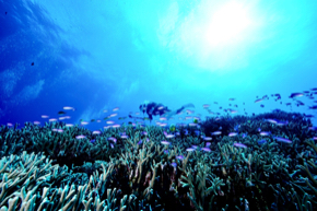 LINE_ALBUM_220627_0.jpg