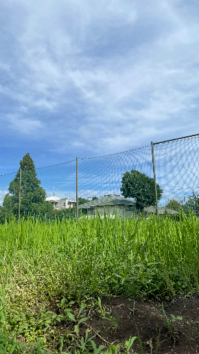 IMG_8983.jpeg