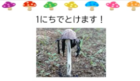 スクリーンショット 2025-09-29 22.15.34.png