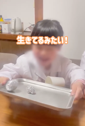 スクリーンショット 2026-06-10 6.40.42.png
