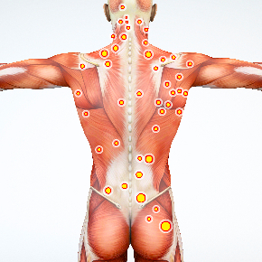 shutterstock_1068943526.jpg