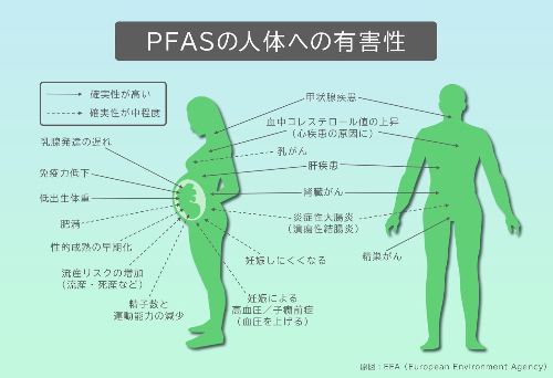 S__9060543_0.jpg