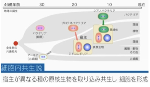 スクリーンショット 2024-06-01 17.12.06.png