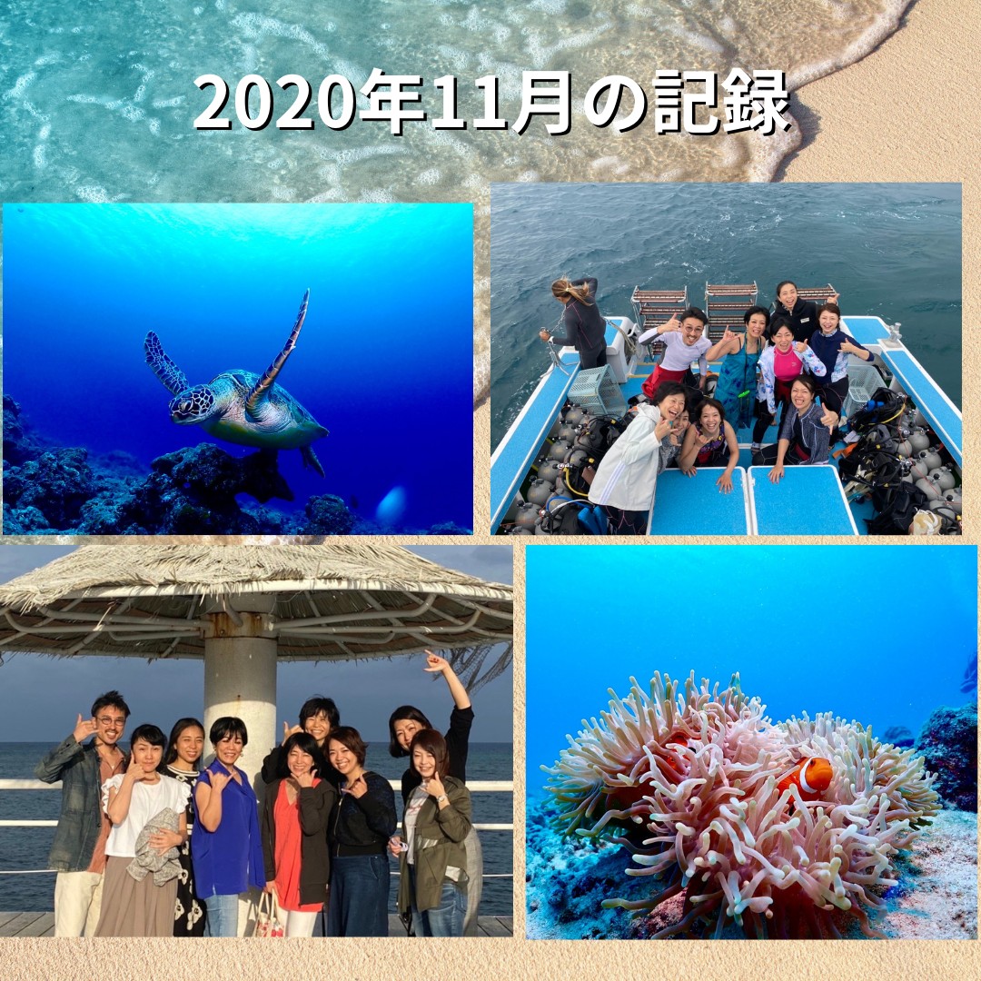 2020年11月の記録.png