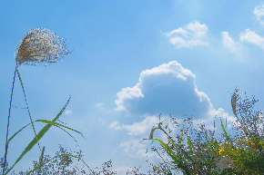 秋の空.jpg