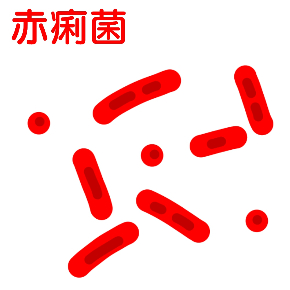 赤痢菌.jpg