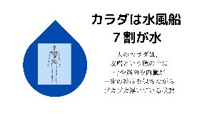 身体は水風船