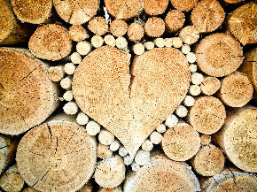 heart-1288420_1920.jpg