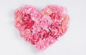 hartflower.png