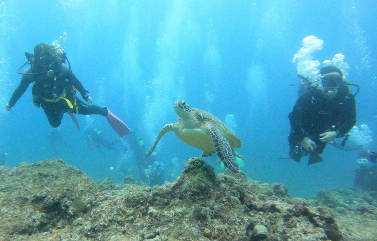 スクリーンショット 2021-11-29 20.38.19.png