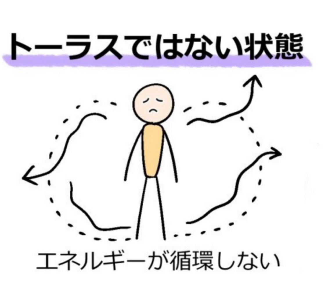 トーラスでない状態.jpg