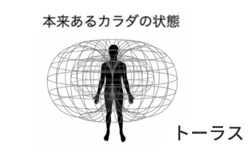 トーラス.jpg