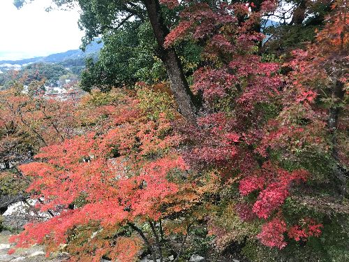 竈門神社の紅葉.jpg